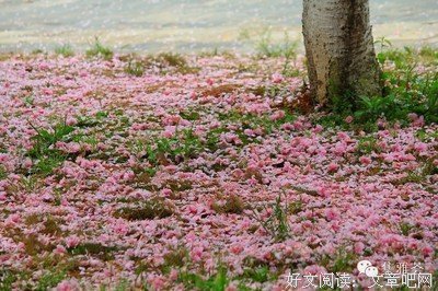 夫你大想过家样和到自觉句子