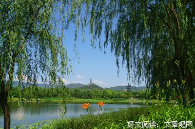 暗香疏影好词好句