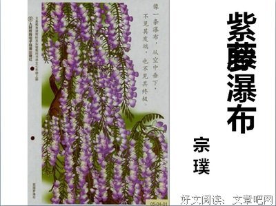 宗璞名言大全