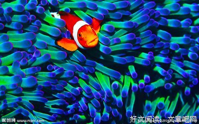 小丑名人名言