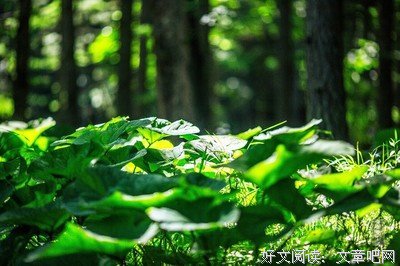 最经典的《浮生六她生》佳句摘抄