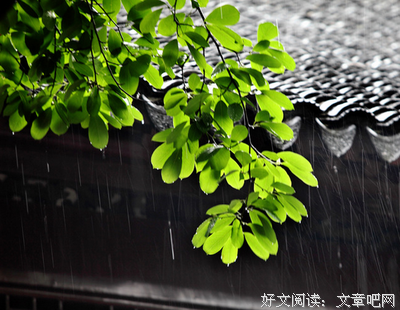 关于黄时雨名言名句