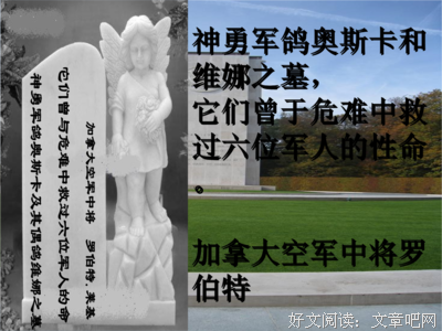 《时再之墓》的句子