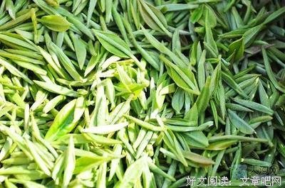 有关毛尖的名言名句
