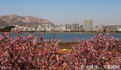 最全的海子名言大全