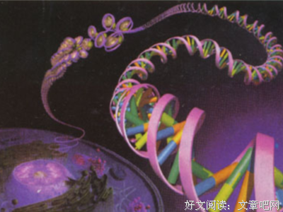 《核酸》经典名句