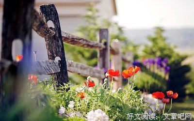 最新的《珍妮姑娘》经典句子大全