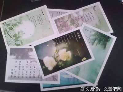 纳兰性德词的优美句子