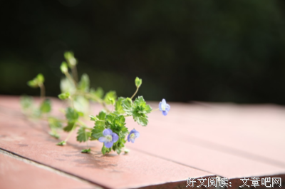 关于余生太长的句子