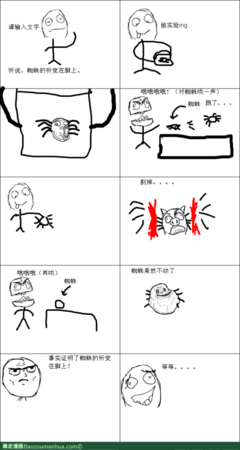 最全的蜘蛛的名言