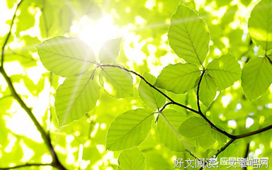 有关Winky诗名言大全