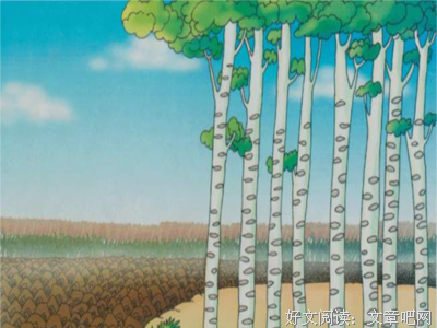 最经典的《流亡》经典的句子大全