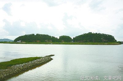 杨超越何德何能，也配和科学家同台领奖？