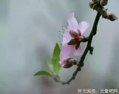 最全的《我们在出十眼是和自己赛跑的人》语录摘抄
