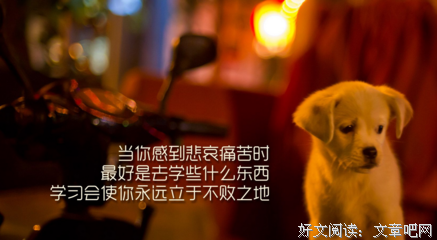 最经典的《青春是张单程票》经典名句