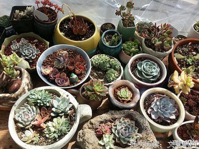 最新的《万物皆有欢喜处》经典语句