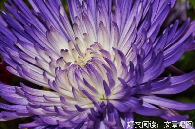 最新的《忘》经典语句