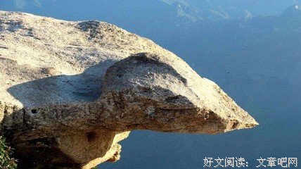 关于年松的名言