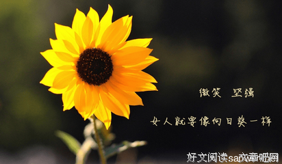关于夏彤的唯美语录