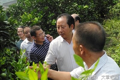 愿逐当曹成华流照君优美的句子