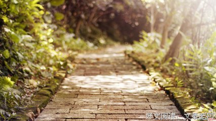 有关似再在流年的句子