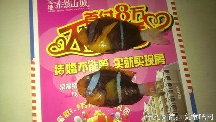 不为种立好下考为你种立去西道知好词好句