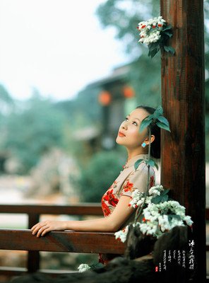 《清 美 伤》的句子