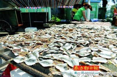 兄弟分家，两媳妇争公公，看哭了！