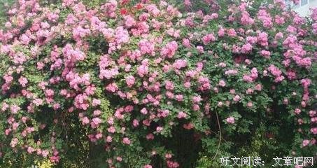 《了凡心疗愈》经典的句子