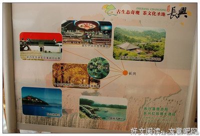 最经典的《光晕》佳句摘抄