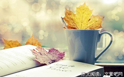 最新的《凉凉》经典的句子