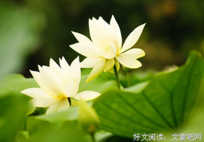 最新的《失控》经典的句子