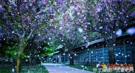 小说摘录 的句子