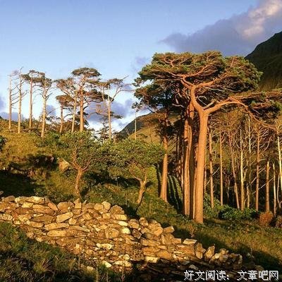 《嘻嘻》的句子