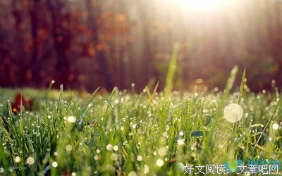 个把辜负。/*的优美句子