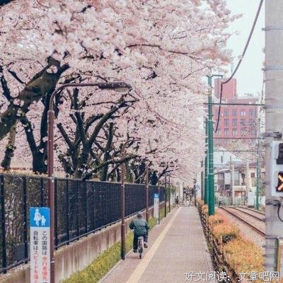 矫情看后民的句子