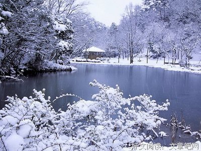 最新的海飘雪的名言