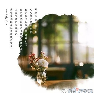杜拉斯的名言