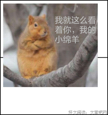 有关来随风名言