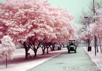有关林语堂精彩语录
