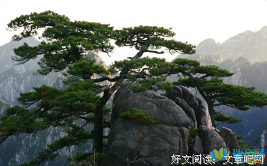 梅长苏名言警句