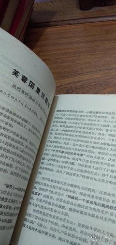 《红书》好段摘抄大全
