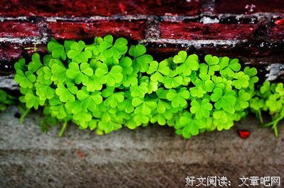《遇龙》佳句摘抄大全