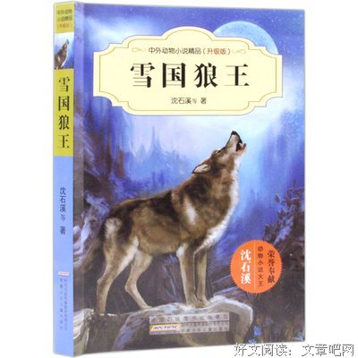 最全的《雪国》语录摘抄大全