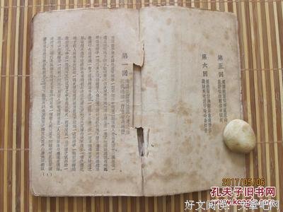 《青城》小说书摘