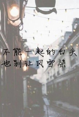 最全的《不再见》经典句子