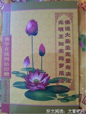 《光明王》经典的句子大全