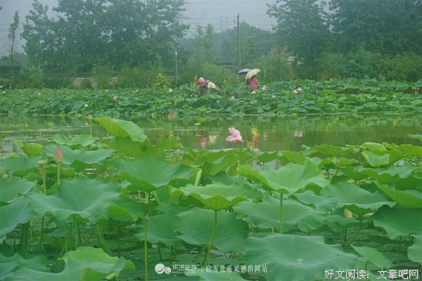 15条关于盘龙的经典语句