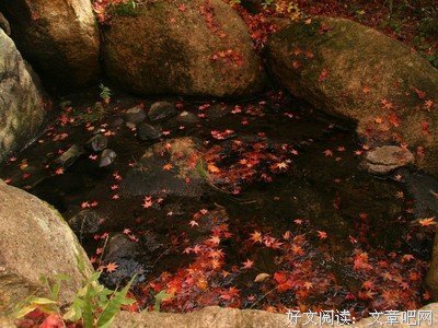 随意的优美句子