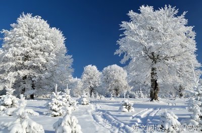 关于Healer.的句子